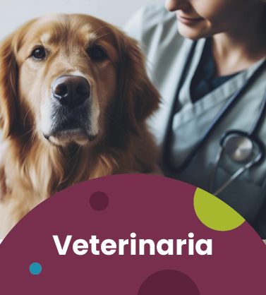 Veterinaria